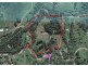 57 Forestry Road, Brandy Creek QLD 4800