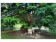 1167 Gregory Cannon Valley Road, Sugarloaf QLD 4800