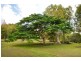 1167 Gregory Cannon Valley Road, Sugarloaf QLD 4800