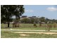 Lot 15 Duke Street, Bowen QLD 4805