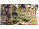 12 Rattray Avenue, Hideaway Bay QLD 4800