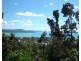 Lot 7 Raintree Place, Airlie Beach QLD 4802