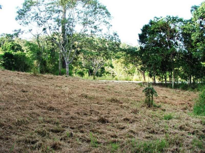 Lot 72 Paluma Road, Cannonvale QLD 4802