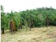 Lot 101 Moodys Road, Strathdickie QLD 4800