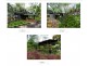 Lot LRG 1 Cycad Close, Hamilton Island QLD 4803