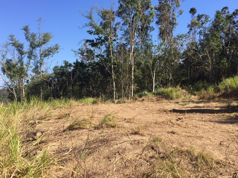 107 Moody Road, Strathdickie QLD 4800