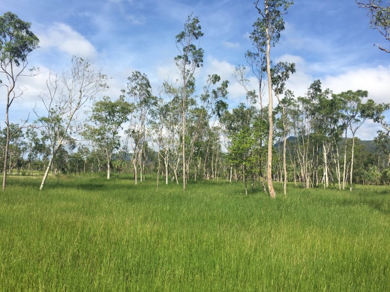 Lot 29 Richardson Road, Cannon Valley QLD 4800