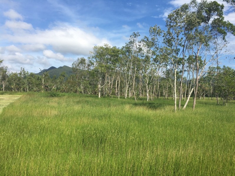 Lot 29 Richardson Road, Cannon Valley QLD 4800