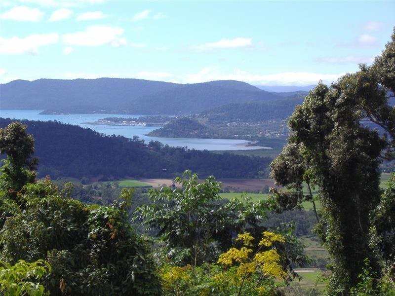 481 Sugarloaf Road, Riordanvale QLD 4800