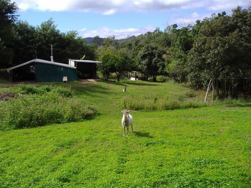 481 Sugarloaf Road, Riordanvale QLD 4800