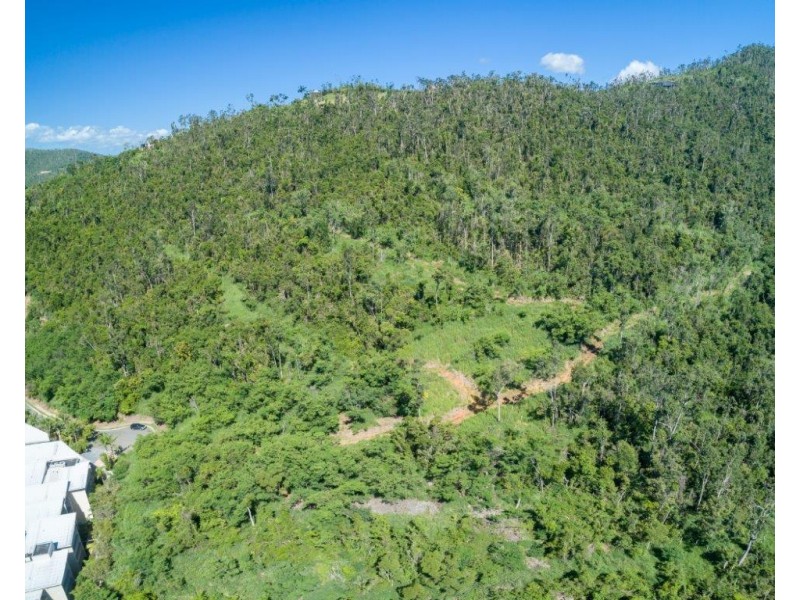 38 Raintree Place, Airlie Beach QLD 4802