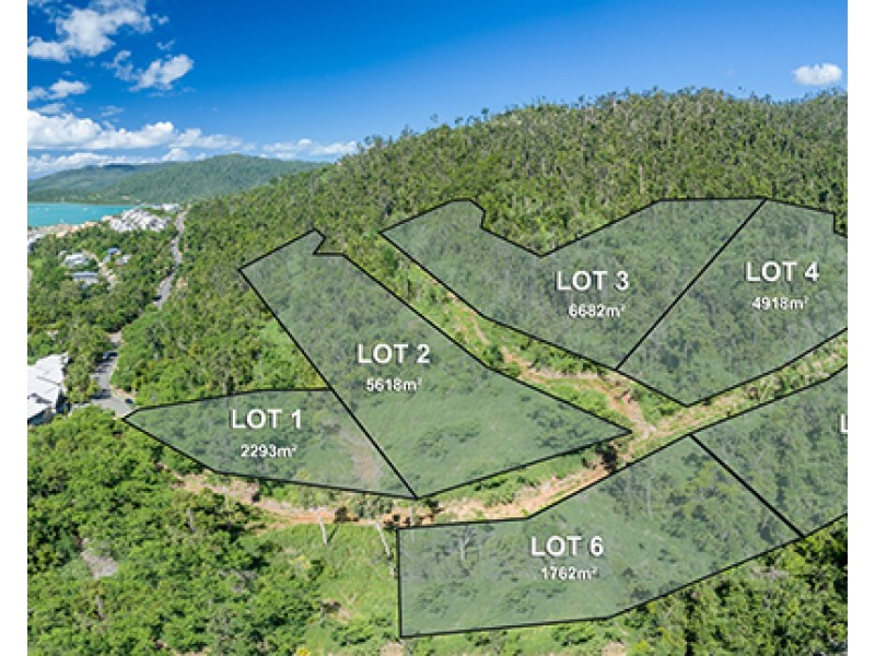 38 Raintree Place, Airlie Beach QLD 4802