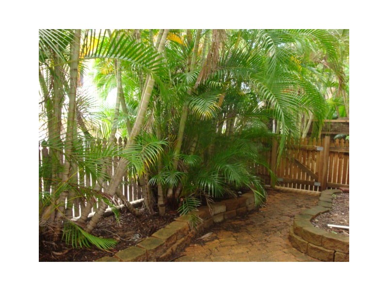 1/14 Island Drive, Cannonvale QLD 4802