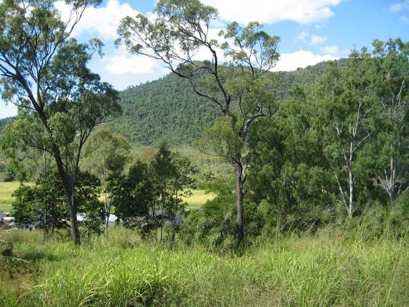 Lots Scenic Ridge Drive Scarlet Gum Crescent, Cannonvale QLD 4802