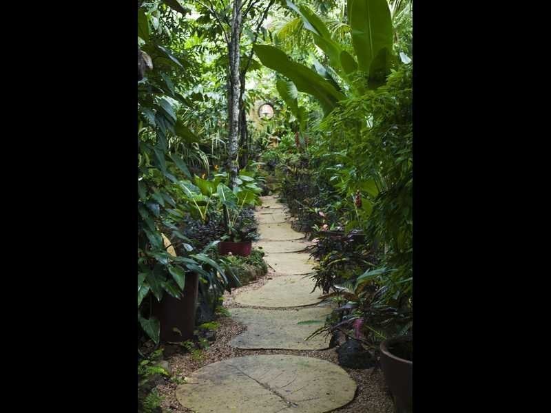 51 Moonlight Drive, Jubilee Pocket QLD 4802