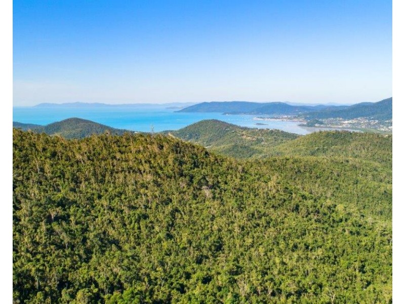 Lot 8 Riordanvale Road, Riordanvale QLD 4800