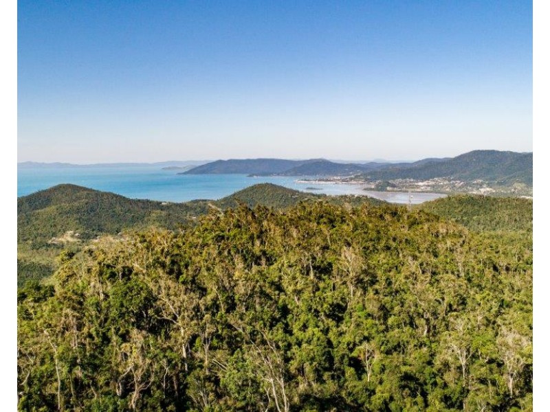 Lot 8 Riordanvale Road, Riordanvale QLD 4800