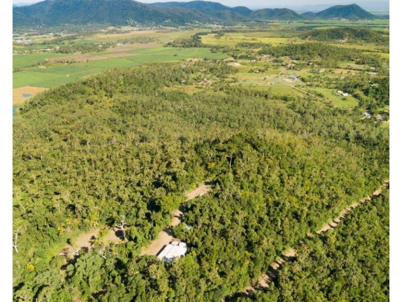 Lot 8 Riordanvale Road, Riordanvale QLD 4800