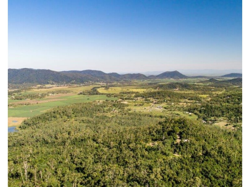 Lot 8 Riordanvale Road, Riordanvale QLD 4800