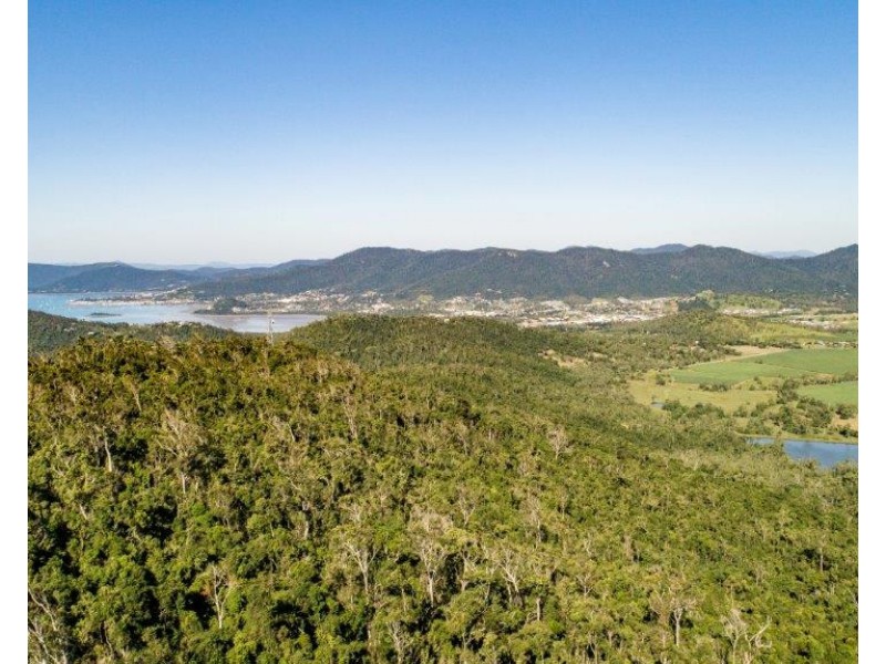 Lot 8 Riordanvale Road, Riordanvale QLD 4800