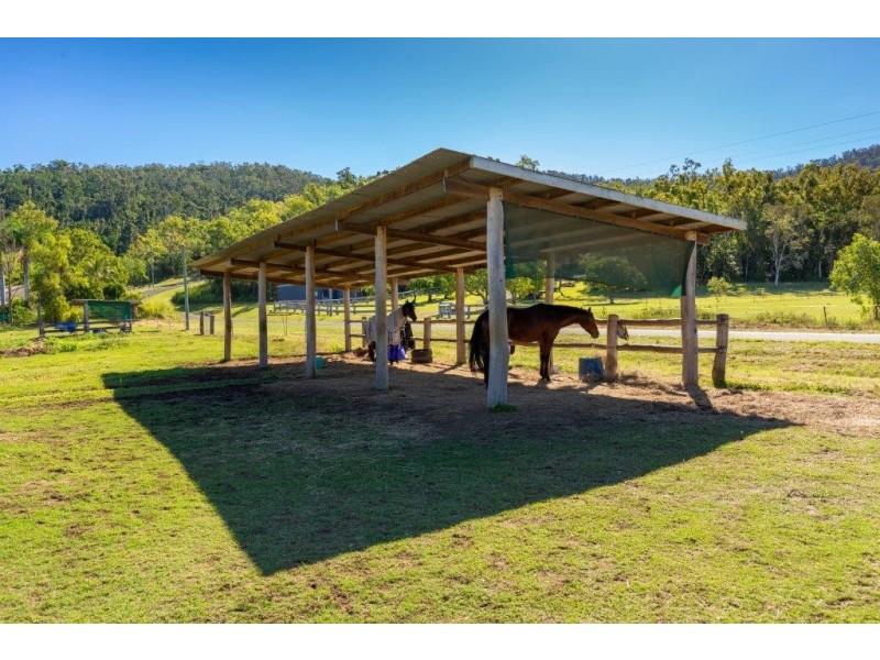 18 Moon Crescent, Sugarloaf QLD 4800