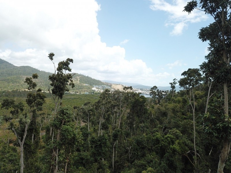 Lot 3 Mandalay Road, Mandalay QLD 4802