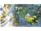 131 Gloucester Avenue, Hideaway Bay QLD 4800