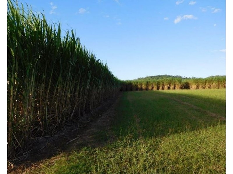 8 Forbes Road, Bloomsbury QLD 4799