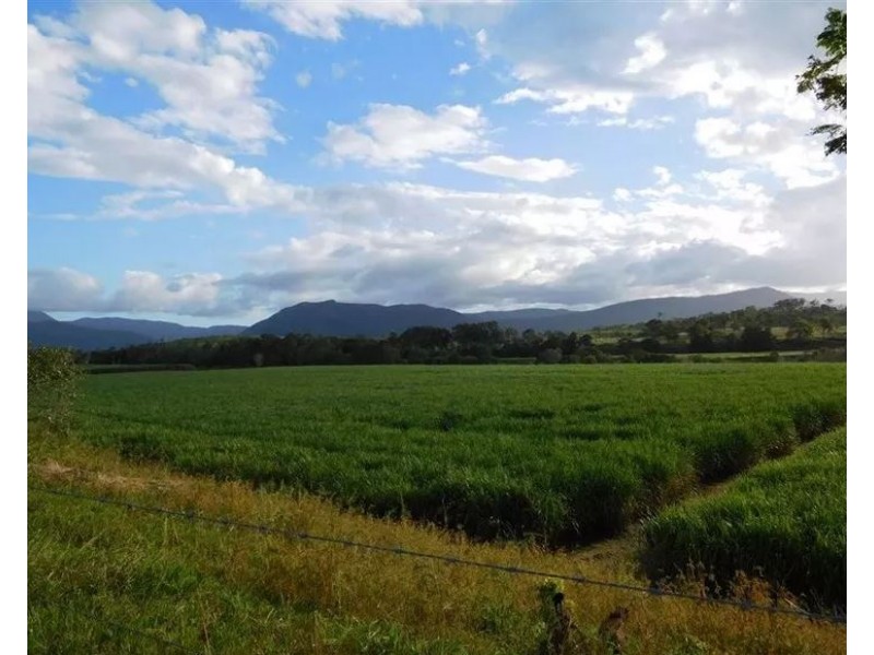 8 Forbes Road, Bloomsbury QLD 4799