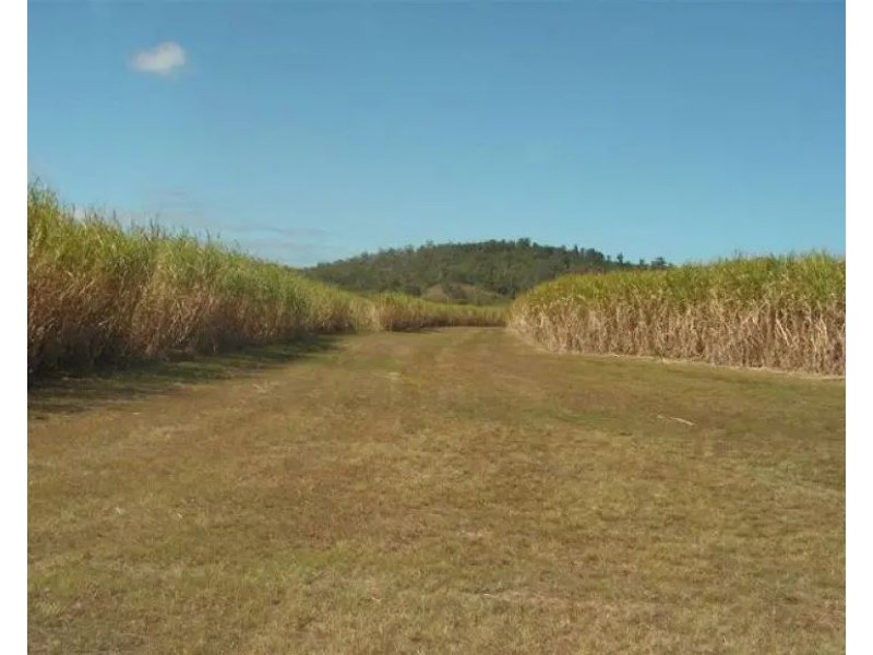 8 Forbes Road, Bloomsbury QLD 4799