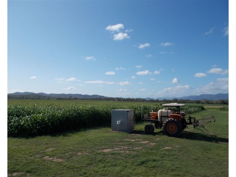 8 Forbes Road, Bloomsbury QLD 4799