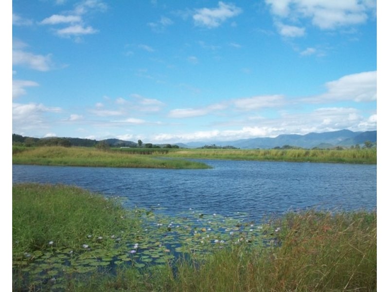 8 Forbes Road, Bloomsbury QLD 4799