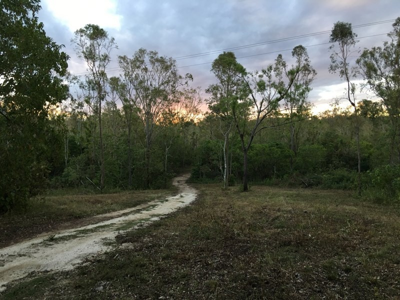 21 Lelona Drive, Bloomsbury QLD 4799