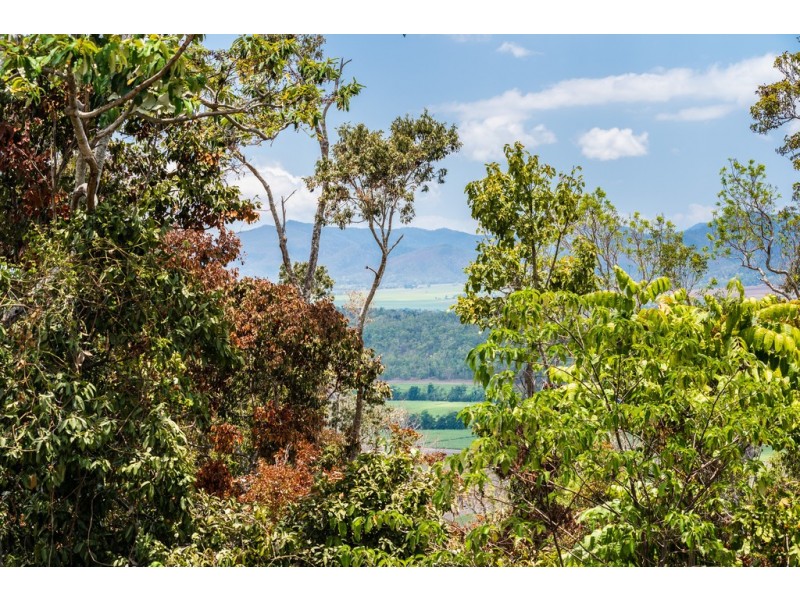 114 Camille Drive, Strathdickie QLD 4800