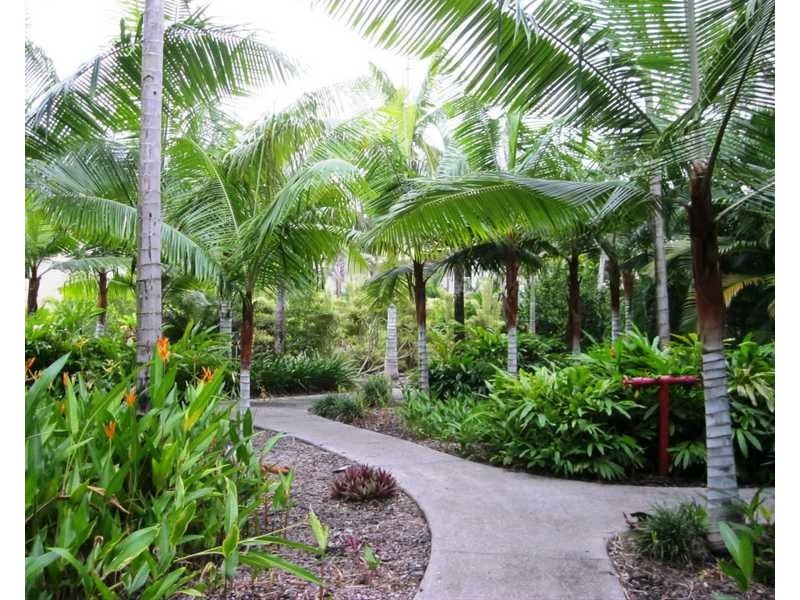 21/21 Shute Harbour Road, Cannonvale QLD 4802