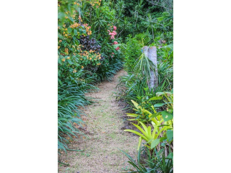 62 Country Road, Cannonvale QLD 4802
