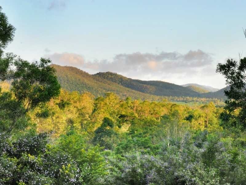 70 Domenica Road, Sugarloaf QLD 4800