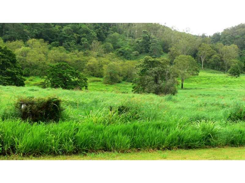 Lot 5 Brandy Creek Road, Brandy Creek QLD 4800