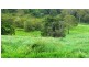 Lot 5 Brandy Creek Road, Brandy Creek QLD 4800