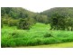Lot 5 Brandy Creek Road, Brandy Creek QLD 4800