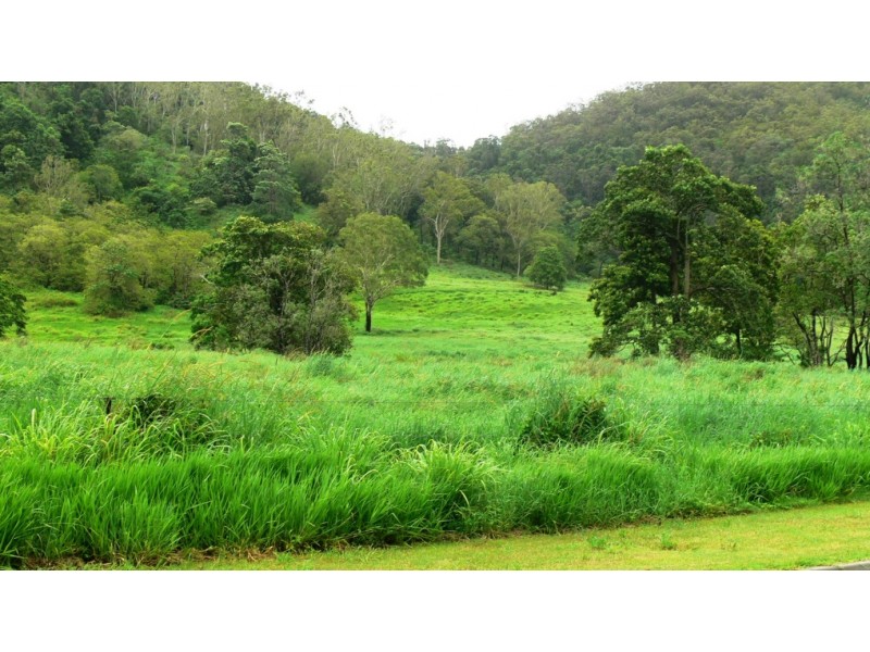 Lot 5 Brandy Creek Road, Brandy Creek QLD 4800