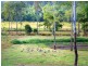 Lot 21 Berry Hill Road, Sugarloaf QLD 4800