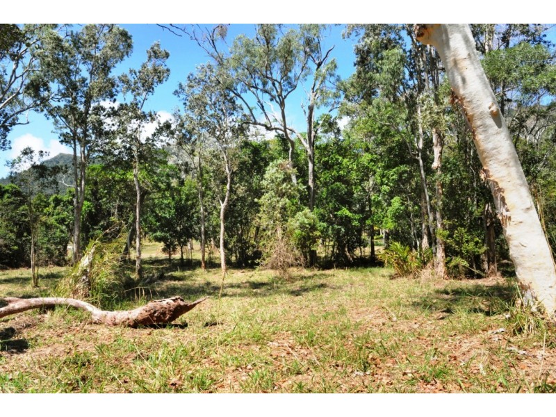 156 Orchid Road, Cannonvale QLD 4802