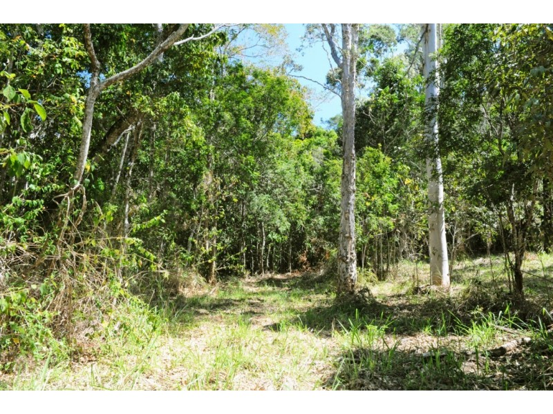 156 Orchid Road, Cannonvale QLD 4802