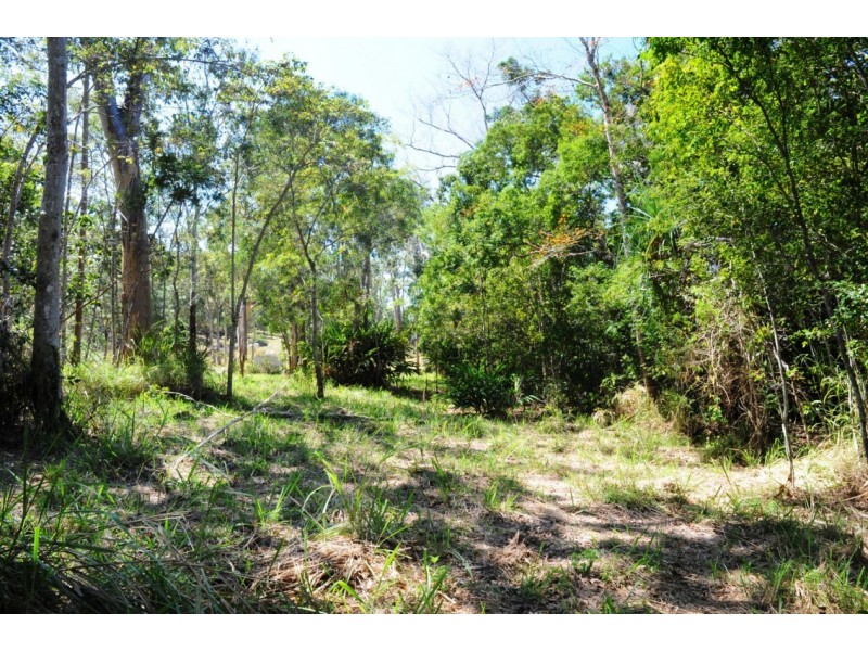 156 Orchid Road, Cannonvale QLD 4802