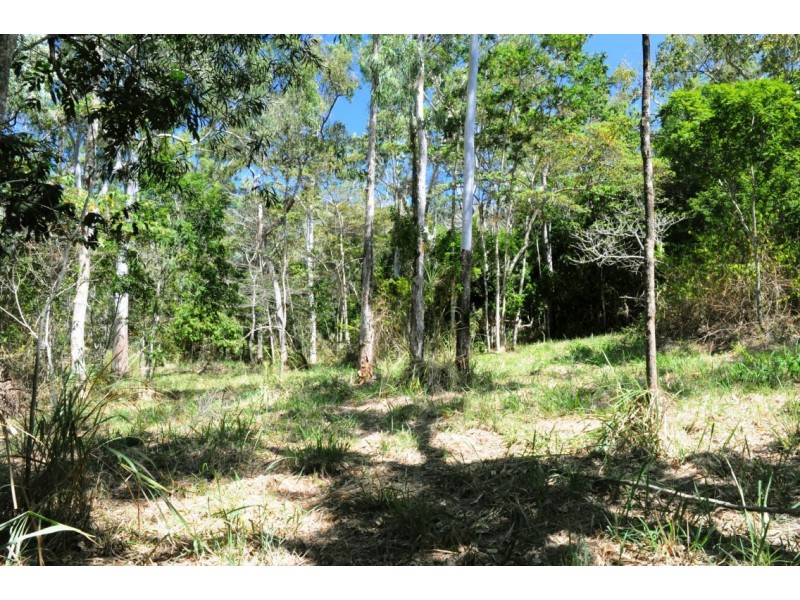 156 Orchid Road, Cannonvale QLD 4802