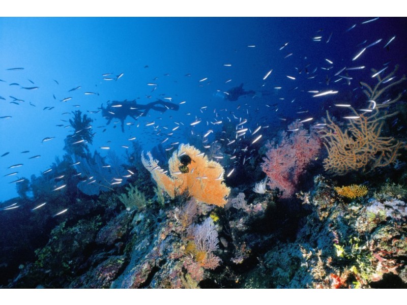 Lot 10 Raintree Place, Airlie Beach QLD 4802