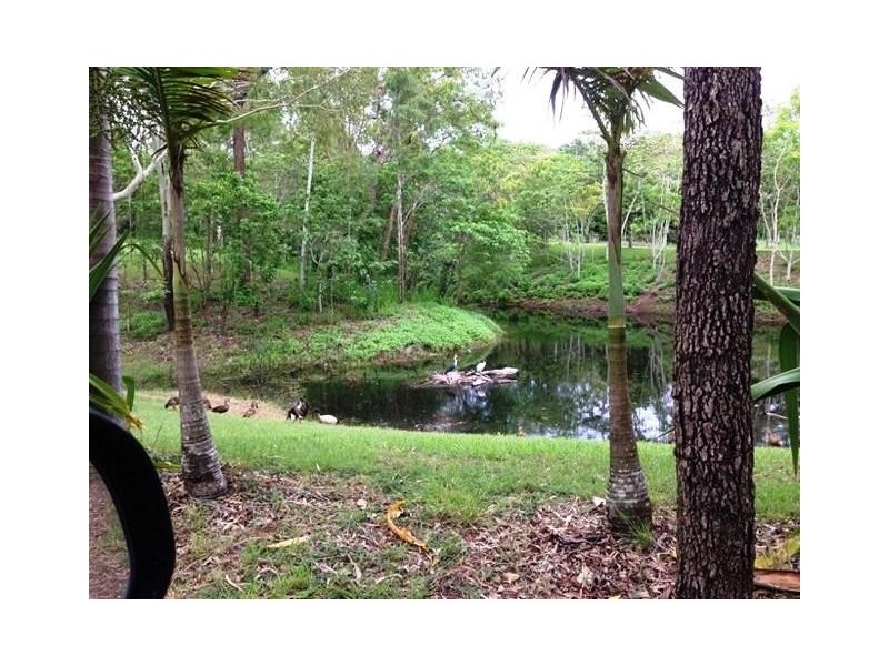 Proposed L320 Braithwaite Crt, Cannonvale QLD 4802