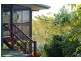 12 Orchid Road, Cannonvale QLD 4802