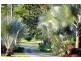 12 Orchid Road, Cannonvale QLD 4802